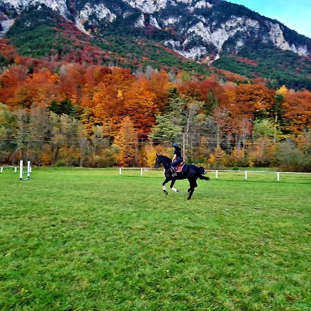 Muehle In Der Pferdewelt Reichenau Apartamento Exterior foto