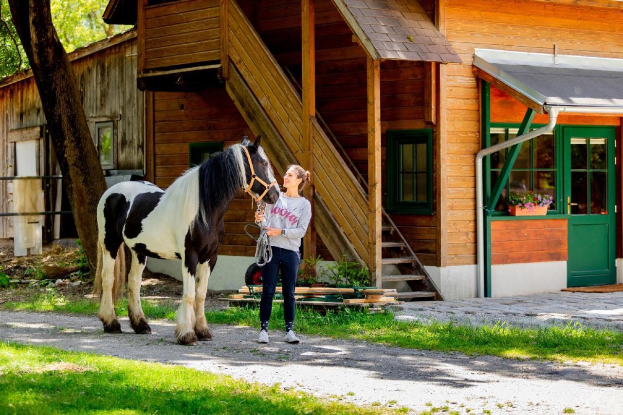 Muehle In Der Pferdewelt Reichenau Apartamento Exterior foto