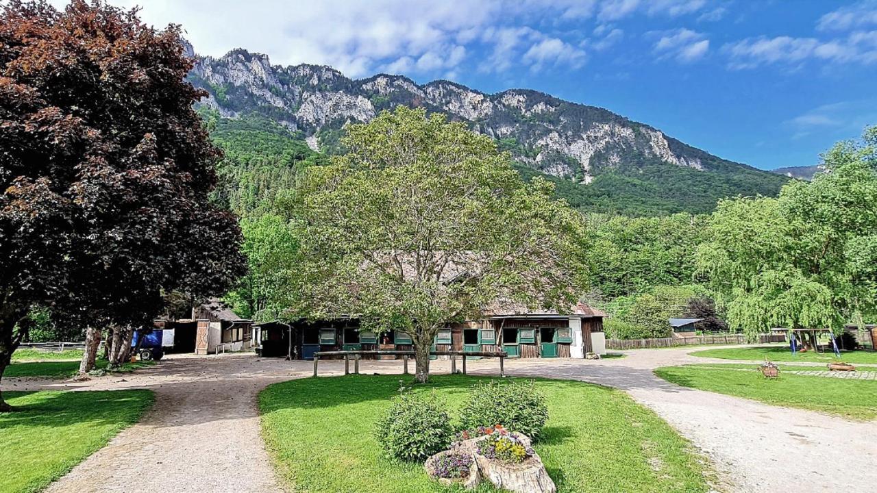 Muehle In Der Pferdewelt Reichenau Apartamento Exterior foto