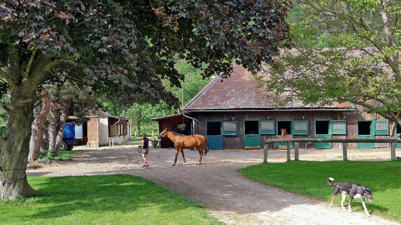 Muehle In Der Pferdewelt Reichenau Apartamento Exterior foto